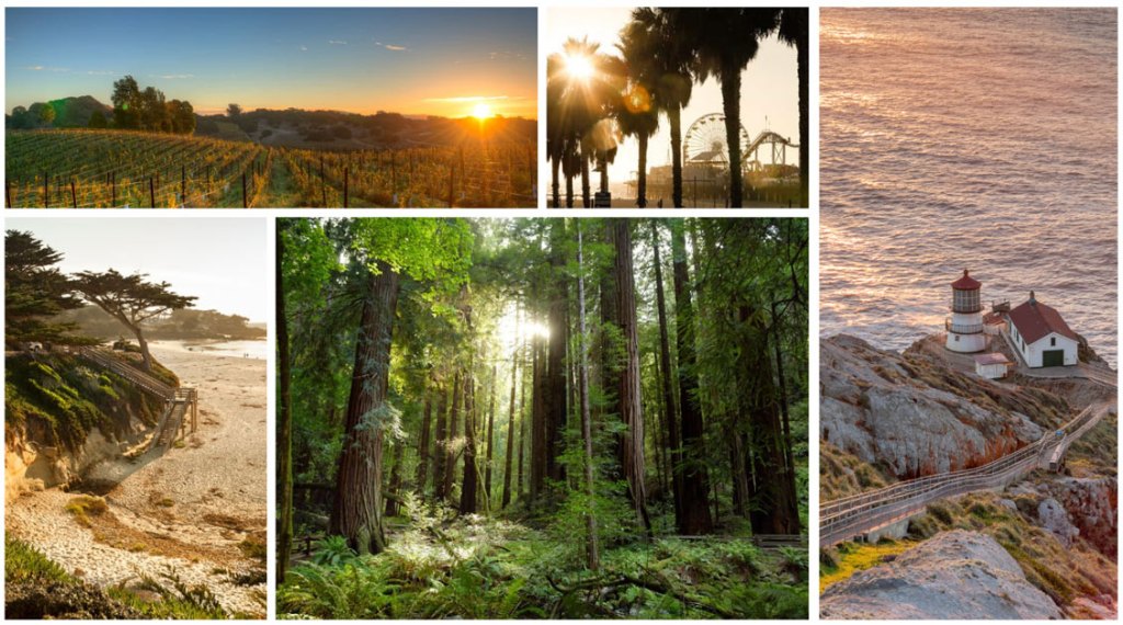 Day-trips-Bay-Area-World-Cup